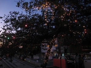 Un arbre décoré sur la place Jérémie  (Port-au-Prince) 
