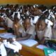Article : Une éducation pour quelle société en Haïti ?